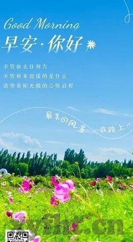 成人三级视频-成人三级视频，网络文化中的灰色地带与影响