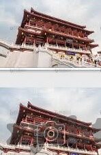 大象回家视频在线观看-探索自然奇迹，大象回家之旅的温馨瞬间
