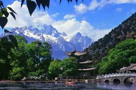 伦理电影中文字幕韩国在线观看-伦理电影的深度探索，韩国在线观看中文字幕的独特魅力