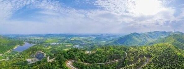 青青草成人免费视频-青青草，成人视频的虚拟世界与现实边界