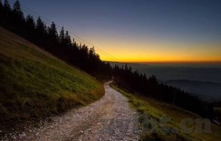 糖心app下载汅免费soi-理智对待网络应用——聚焦糖心app下载汅免费soi现象的深入思考