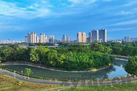 糖心app怎么进不去了-近期糖心App访问受阻的困惑